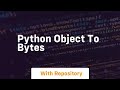python object to bytes