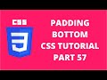 Padding Bottom Property CSS | CSS Tutorial Part 57