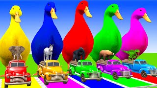 5 Giant Duck Cartoon, Cow, Giraffe, Elephant, Lion, Animals Crossing Fountain Animal Game