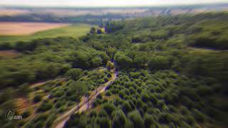 Flight Over Farningham Woods - Summer 2018