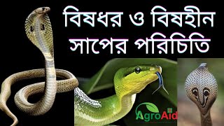 বাংলাদেশের বিষধর ও বিষহীন সাপসমূহ | Venomous and Nonvenomous Snakes in Bangladesh #AgroAid#AgroAid