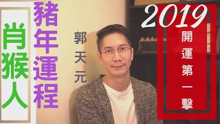 🎊2019 己亥「豬年」十二生肖運程簡介 ➤肖猴人