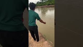 Fantastic! A man use the net to catch fish!#shorts #fishing #net