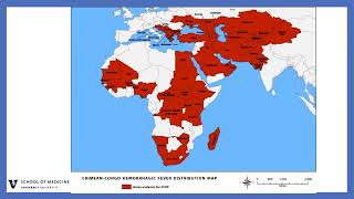 Hemorrhagic Fever Viruses