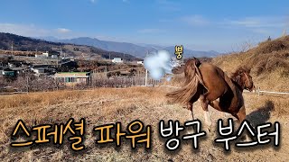 어서 와, 방귀 뀌면서 뛰는 말은 처음이지? 🐴💨