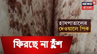 যত্র তত্র থুতু, পিক ফেলেই চলেছে মানুষ , ফিরছে না হুঁশ