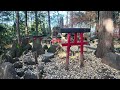 【最勝寺の紅葉】茨城県筑西市の紅葉の名所。十三仏をモチーフにした石庭と、京都の職人が手掛けた苔の美しい回遊式庭園が美しい。