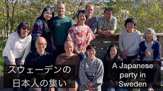 北欧風景 スウェーデンの日本人の集い A Japanese party in Sweden