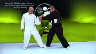 Tai Chi combat tai chi chuan fight style use tai chi - lesson 10