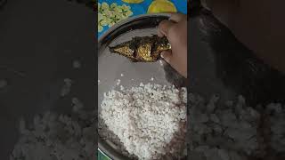 ഉച്ച ഊണ് #simple lunch  #foodie#youtubeshorts