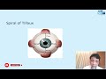 fmge jan 2024 ophthalmology recall dr. sashwat ray allen next fmge