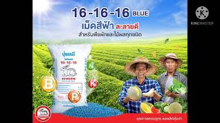 โฆษณาวิทยุ ปุ๋ยตรากระต่าย 16-16-16 เม็ดสีฟ้า ชุดที่ 1