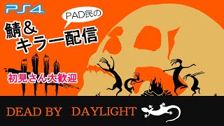 【DBD 参加型】昼下がりのデッドバイデイライト！