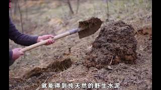 男人利用树枝和粘土的特性，徒手搭建出造型独特的庇护所