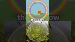 Rainbows Have No End Proof Explanation From Helicopter View Rainbow