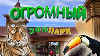 ЗООПАРК ЛИМПОПО/НИЖНИЙ НОВГОРОД 2021/КУДА ПОЙТИ С ДЕТЬМИ