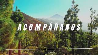 Acompáñanos a explorar Tenerife