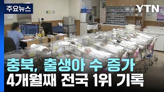 충북 출생아 수 증가율 4개월 째 전국 1위 / YTN