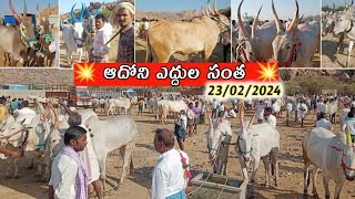 ఆదోని శుక్రవారం ఎద్దుల సంత_సంతలో రేట్లు//Adoni friday bull's market_Oxen price video's 2024