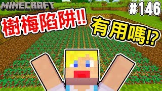 【Minecraft】蘇皮生存系列 #146 把樹梅拿來當陷阱！究竟有沒有用！？ 【當個創世神】