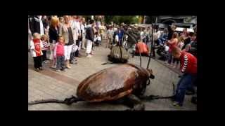 Big Bugs Showreel - Street Theatre Performance by Mr.Image Theatre