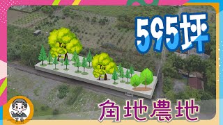 【房地產 | 線上賞屋】99米大面寬角地農地!! 每坪1.2萬《岡好想分享》