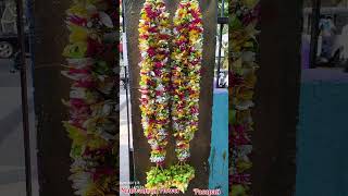 Manoranjitham senbagam Gypsy many more flowers #florist #manivannanflower #flowers #tamilsong #gypsy