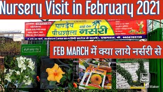 Nursery Visit in February 2021 | Spring Plants Nursery Visit | Feb March में क्या लाये नर्सरी से