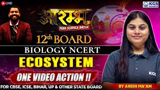 Ecosystem in One Video Action | Class 12 Biology NCERT | Anshi Ma'am | KGS Boards English