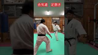 【武道・武術】合気道の足捌き各種　解説！！　#aikido ＃karate #martial #合気道 #武道 #空手＃筋トレ#selfdefense