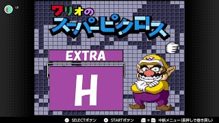 【ワリオのスーパーピクロス】EX-H