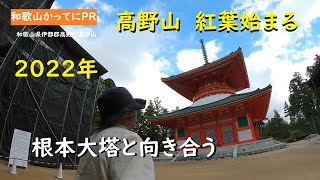 【高野山観光】日帰りにおすすめのスポット　2022年紅葉【和歌山かってにＰＲ】第242回「高野山　紅葉始まる」2022年10月18日　ニュース速報