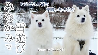 【コマのデート】群馬県みなかみ町で四郎くんと雪遊び　周辺の美味いもの食べて買って帰りました