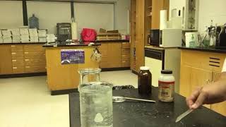 Element Survey Lab: sodium and potassium