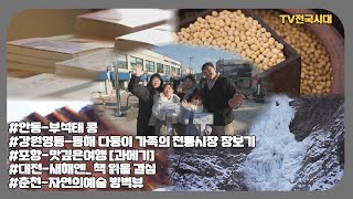 [TV전국시대] 2월4일(화) 전체방송 다시보기