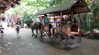 中國旅遊 / 街拍 (100) 佛山市 順德長鹿休閑度假農莊 馬車 chuanloo Farm Park Horse carriage