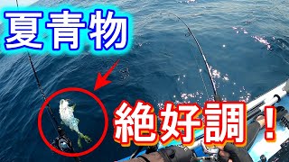 【青物夏の陣】青物4連発！これぞカヤックフィッシング！