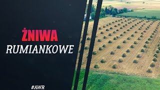 Składanie Rumianku na Kozły | AndrzejWielkiR