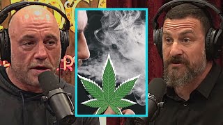 Joe Rogan and Neuroscientist Dr Huberman blow your mind about Weed and How it affects Brain and Body