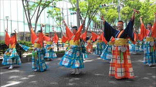 原宿よさこい連・表参道アヴェニュー・2019年8月25日。