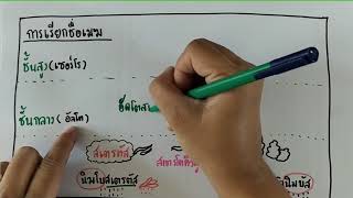 การเรียกชื่อเมฆ