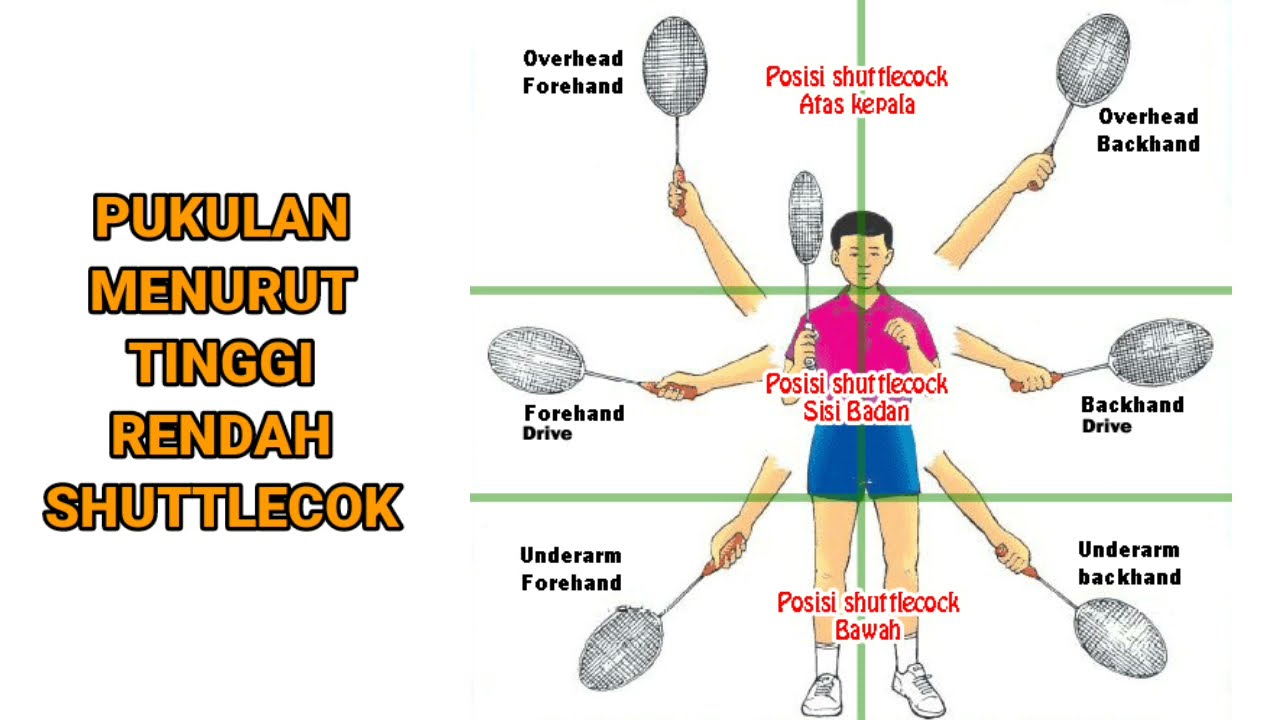 BULUTANGKIS | PENGERTIAN FOREHAND DAN BACKHAND , CARA MEMEGANG RAKET ...