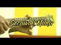 Secawan Madu - Acoustic Guitar Cover