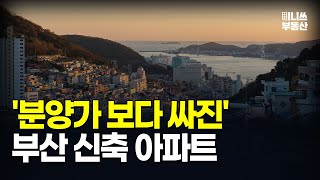 충격의 부산 신축 아파트. 분양가보다 싸진 가격에 입주민은 대성통곡 부산 마피 아파트 10곳 [집값 상황 377편][부동산 아파트 집값전망 폭락 하락 분양권]