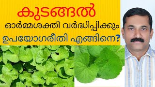 Try using Kodangal like this || Natural way to Boost Memory