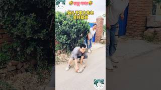 🤣জাদু পাথর🤣 #funnyshorts #funnyvideo  #viralshorts #comedy #dubbed #funny #subscribe