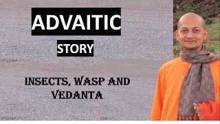 An Advaitic example  by Swami Sarvapriyananda on Vedanta, wasp and Insect