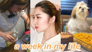VLOG | Gigi Hadid's Pasta Recipe, New business, PR Packages + LOTS OF FOOD (Andrea Angeles)