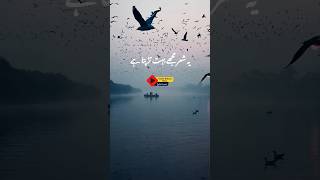 Molana Tariq Jameel Sad Poetry 💔 ||tariq nasheed || Sad 😭