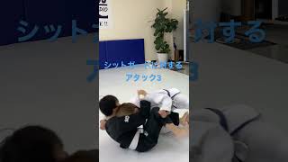 ［柔術テクニック］シットガードに対するアタック3#jiujitu#bjj#ブラジリアン柔術 #柔術#パスガード